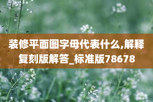 装修平面图字母代表什么,解释复刻版解答_标准版78678