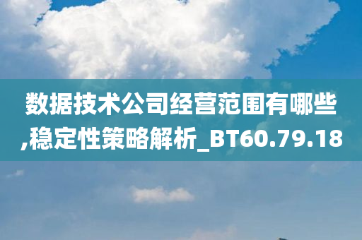 数据技术公司经营范围有哪些,稳定性策略解析_BT60.79.18