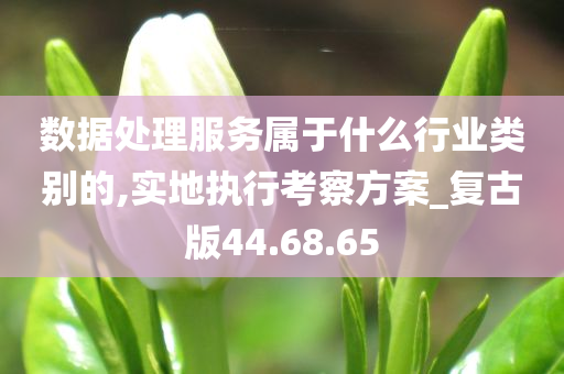 数据处理服务属于什么行业类别的,实地执行考察方案_复古版44.68.65