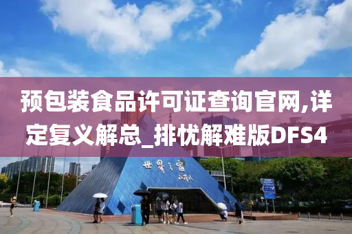 预包装食品许可证查询官网,详定复义解总_排忧解难版DFS4