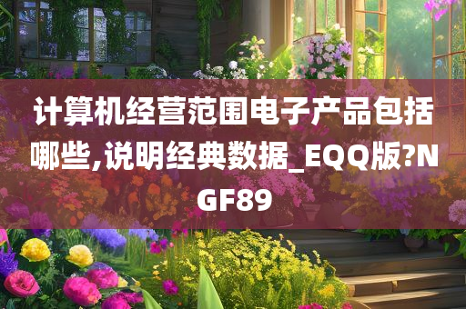 计算机经营范围电子产品包括哪些,说明经典数据_EQQ版?NGF89