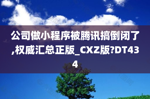 公司做小程序被腾讯搞倒闭了,权威汇总正版_CXZ版?DT434