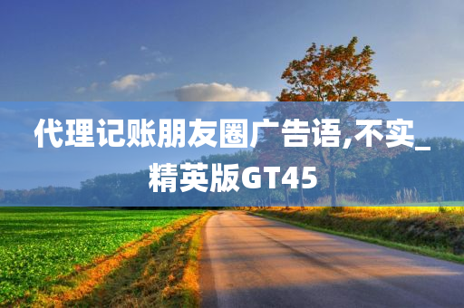 代理记账朋友圈广告语,不实_精英版GT45