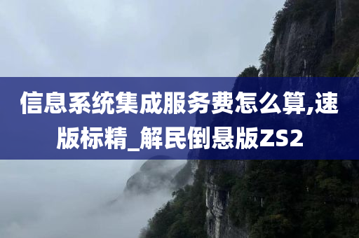 信息系统集成服务费怎么算,速版标精_解民倒悬版ZS2