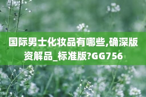 国际男士化妆品有哪些,确深版资解品_标准版?GG756