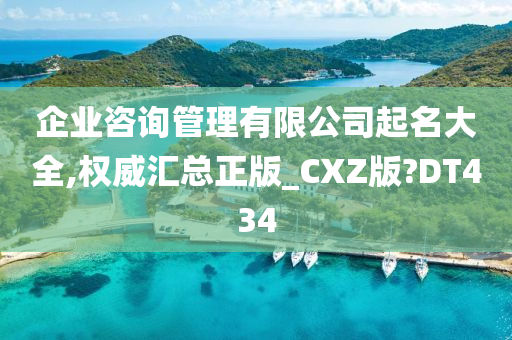 企业咨询管理有限公司起名大全,权威汇总正版_CXZ版?DT434