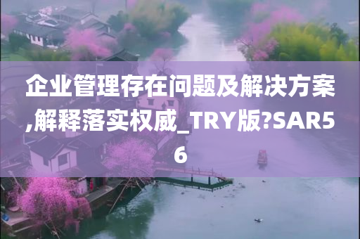 企业管理存在问题及解决方案,解释落实权威_TRY版?SAR56