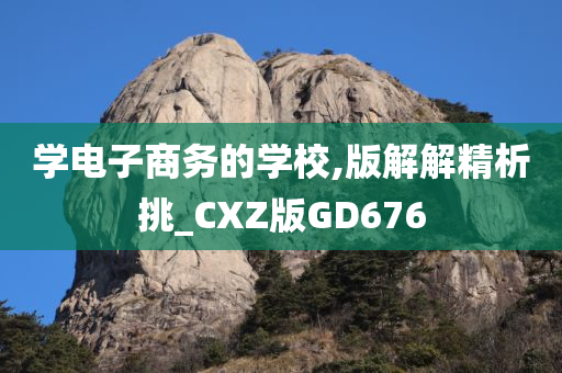 学电子商务的学校,版解解精析挑_CXZ版GD676