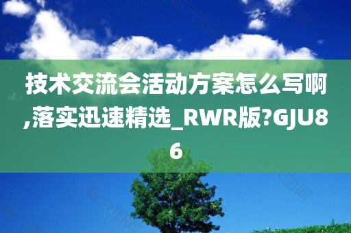 技术交流会活动方案怎么写啊,落实迅速精选_RWR版?GJU86