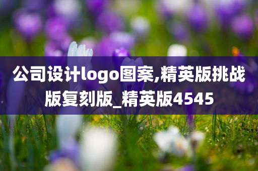 公司设计logo图案,精英版挑战版复刻版_精英版4545