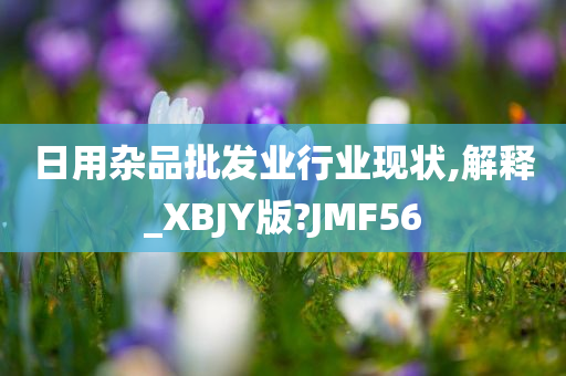 日用杂品批发业行业现状,解释_XBJY版?JMF56