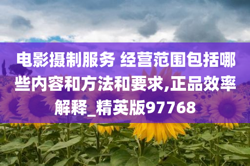 电影摄制服务 经营范围包括哪些内容和方法和要求,正品效率解释_精英版97768