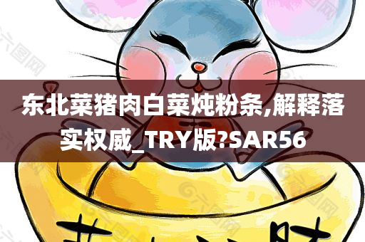 东北菜猪肉白菜炖粉条,解释落实权威_TRY版?SAR56