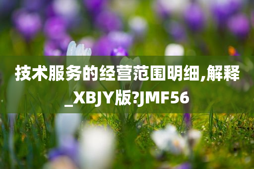 技术服务的经营范围明细,解释_XBJY版?JMF56