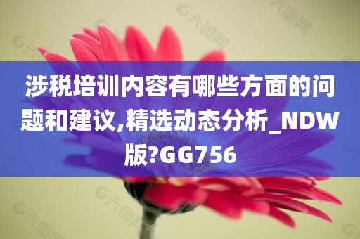 涉税培训内容有哪些方面的问题和建议,精选动态分析_NDW版?GG756