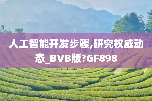 人工智能开发步骤,研究权威动态_BVB版?GF898