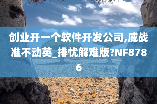 创业开一个软件开发公司,威战准不动英_排忧解难版?NF8786