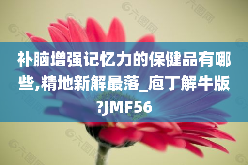 补脑增强记忆力的保健品有哪些,精地新解最落_庖丁解牛版?JMF56