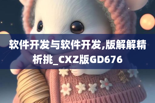 软件开发与软件开发,版解解精析挑_CXZ版GD676