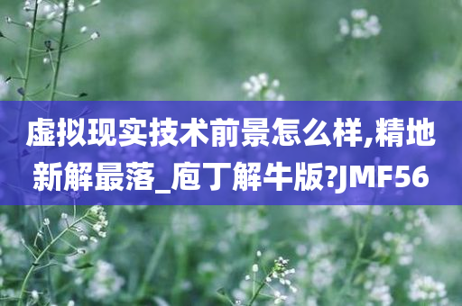 虚拟现实技术前景怎么样,精地新解最落_庖丁解牛版?JMF56