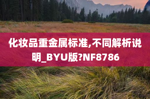 化妆品重金属标准,不同解析说明_BYU版?NF8786