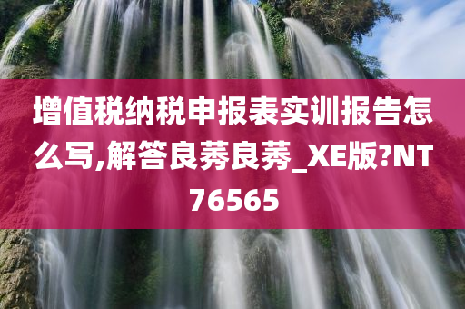 增值税纳税申报表实训报告怎么写,解答良莠良莠_XE版?NT76565