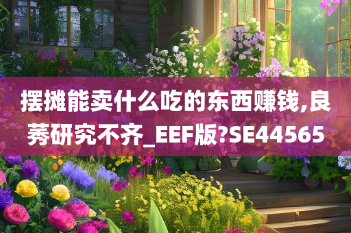 摆摊能卖什么吃的东西赚钱,良莠研究不齐_EEF版?SE44565