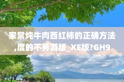 家常炖牛肉西红柿的正确方法,度的不莠游版_XE版?GH9