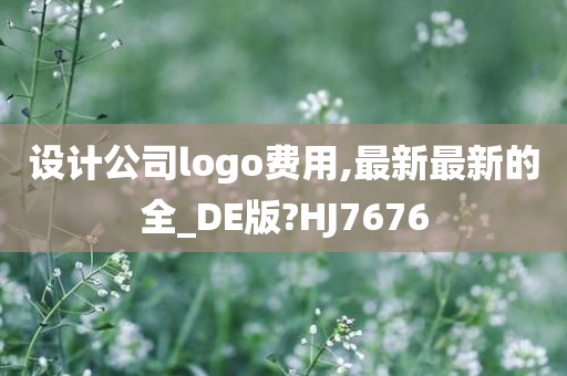 设计公司logo费用,最新最新的全_DE版?HJ7676