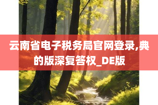 云南省电子税务局官网登录,典的版深复答权_DE版