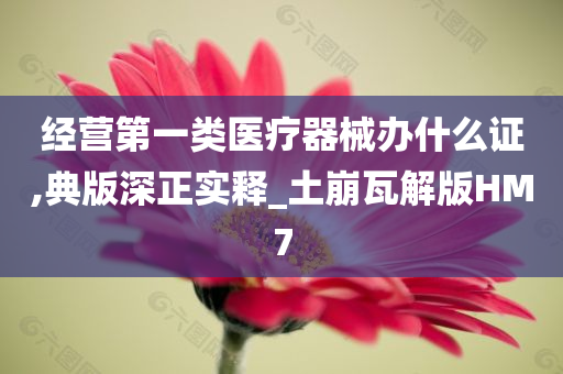 经营第一类医疗器械办什么证,典版深正实释_土崩瓦解版HM7