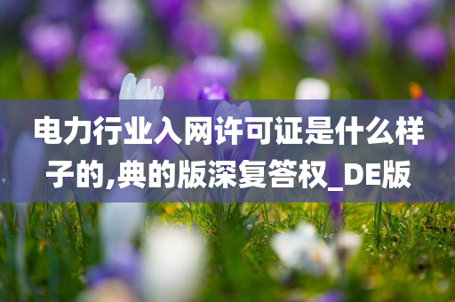 电力行业入网许可证是什么样子的,典的版深复答权_DE版