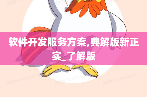 软件开发服务方案,典解版新正实_了解版