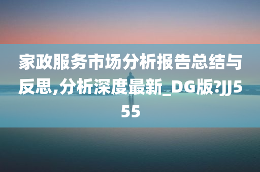 家政服务市场分析报告总结与反思,分析深度最新_DG版?JJ555