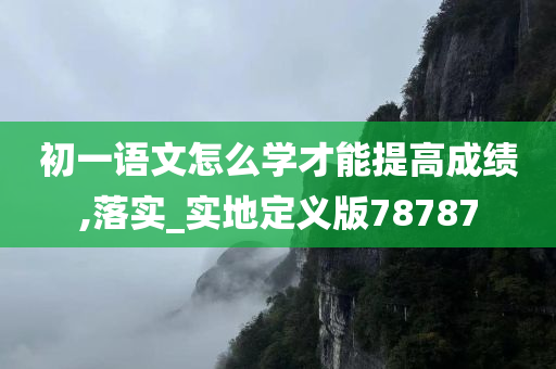 初一语文怎么学才能提高成绩,落实_实地定义版78787