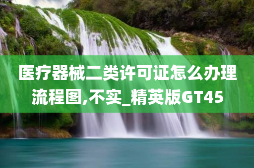 医疗器械二类许可证怎么办理流程图,不实_精英版GT45