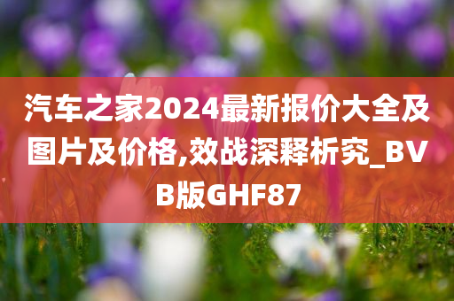 汽车之家2024最新报价大全及图片及价格,效战深释析究_BVB版GHF87