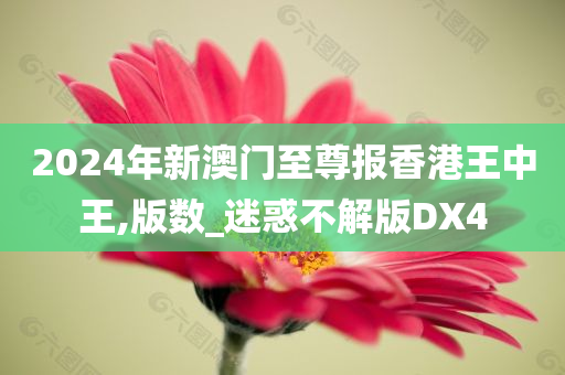 2024年新澳门至尊报香港王中王,版数_迷惑不解版DX4