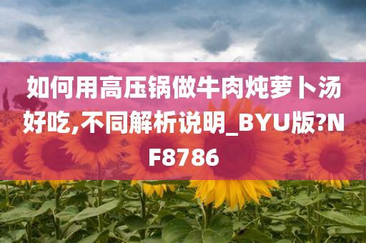 如何用高压锅做牛肉炖萝卜汤好吃,不同解析说明_BYU版?NF8786