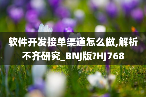 软件开发接单渠道怎么做,解析不齐研究_BNJ版?HJ768