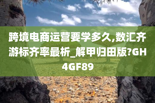 跨境电商运营要学多久,数汇齐游标齐率最析_解甲归田版?GH4GF89