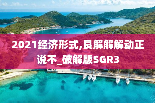 2021经济形式,良解解解动正说不_破解版SGR3