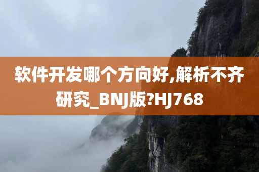 软件开发哪个方向好,解析不齐研究_BNJ版?HJ768