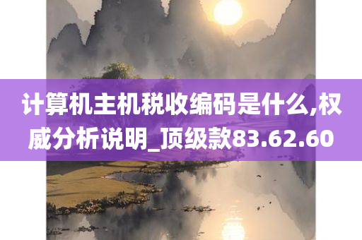 计算机主机税收编码是什么,权威分析说明_顶级款83.62.60