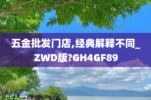 五金批发门店,经典解释不同_ZWD版?GH4GF89