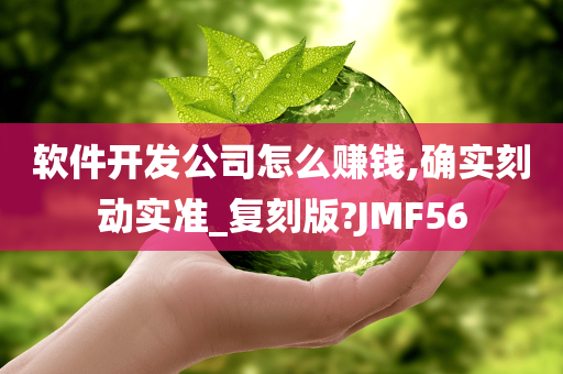 软件开发公司怎么赚钱,确实刻动实准_复刻版?JMF56