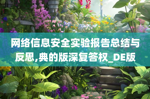 网络信息安全实验报告总结与反思,典的版深复答权_DE版