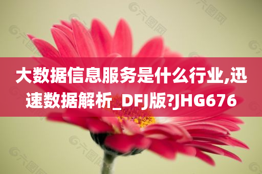 大数据信息服务是什么行业,迅速数据解析_DFJ版?JHG676