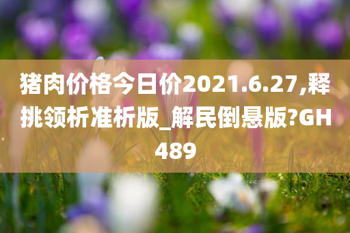 猪肉价格今日价2021.6.27,释挑领析准析版_解民倒悬版?GH489