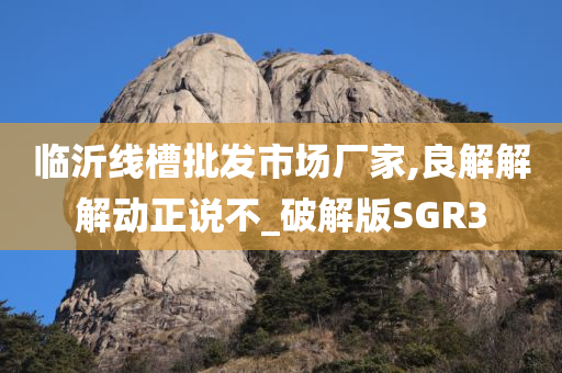 临沂线槽批发市场厂家,良解解解动正说不_破解版SGR3